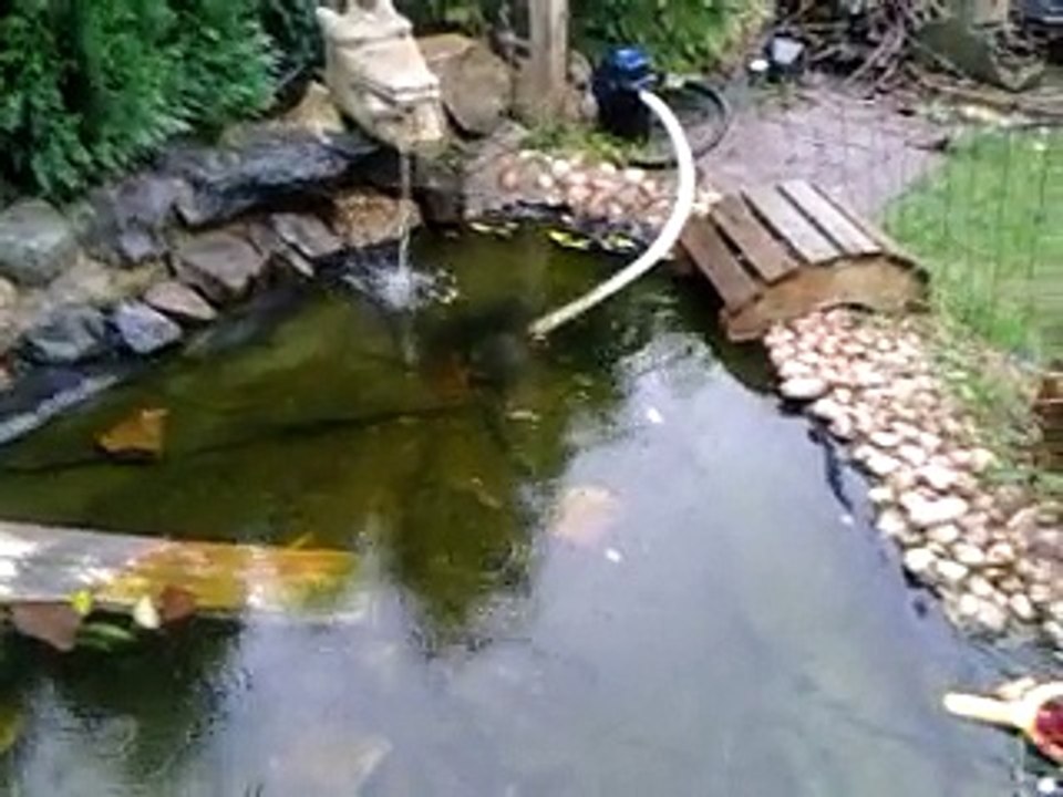le bassin avec les poisson 2014-12-12-14-05-38