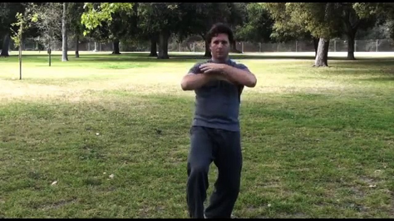 Yangjia Michuan Taiji Quan 13 postures par Chris Nelson