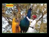 Narayan Susro Ji Palyo Dadar Mor | Marwadi Song | Latest 