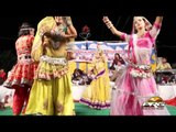 Rajasthani New Live Bhajan | Udd Jaa Udd Ja | Gau Mata Bhajan | Rajasthani Latest Song HD