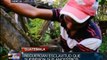 Guatemala: comunidades mayas denuncian persecución del gobierno