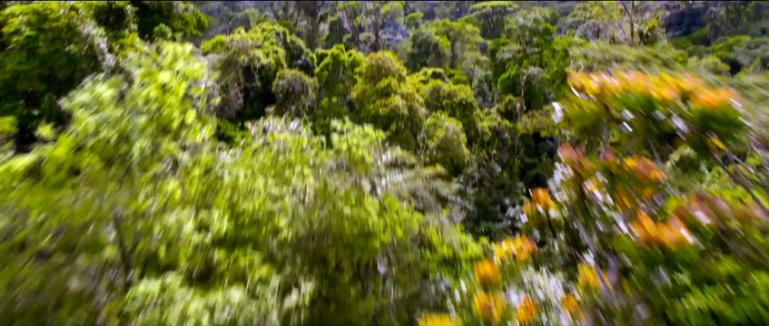 After Earth Official Trailer - On Blu-ray™ and Digital