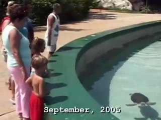 Two Headed Turtle Discovered