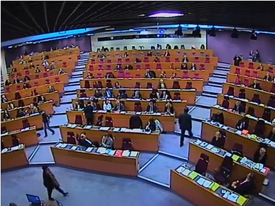 Région IDF- Josy Mollet Lidy- Discussion générale Budget 2015