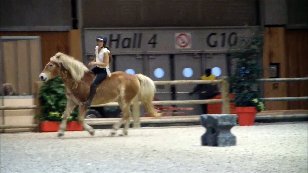 Haflinger NaÏade - salon du cheval de paris 2014