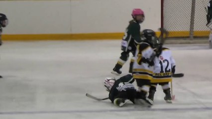 Un adversaire très fairplay relève son adversaire au sol! Hockey sur glace, un sport violent?!