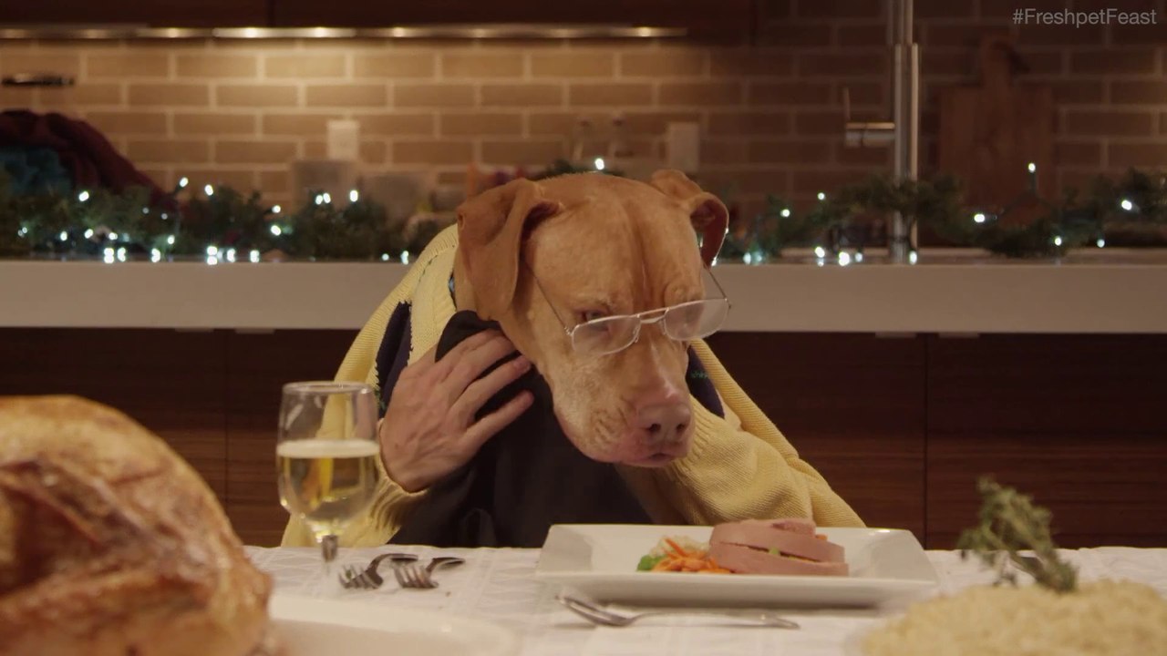 13 chiens et 1 chats à table mangent comme des humains leur repas de Noël