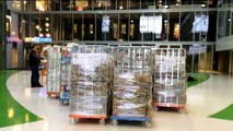 Beelden: Steeds meer producten voor Voedselbank in Mediacentrale - RTV Noord