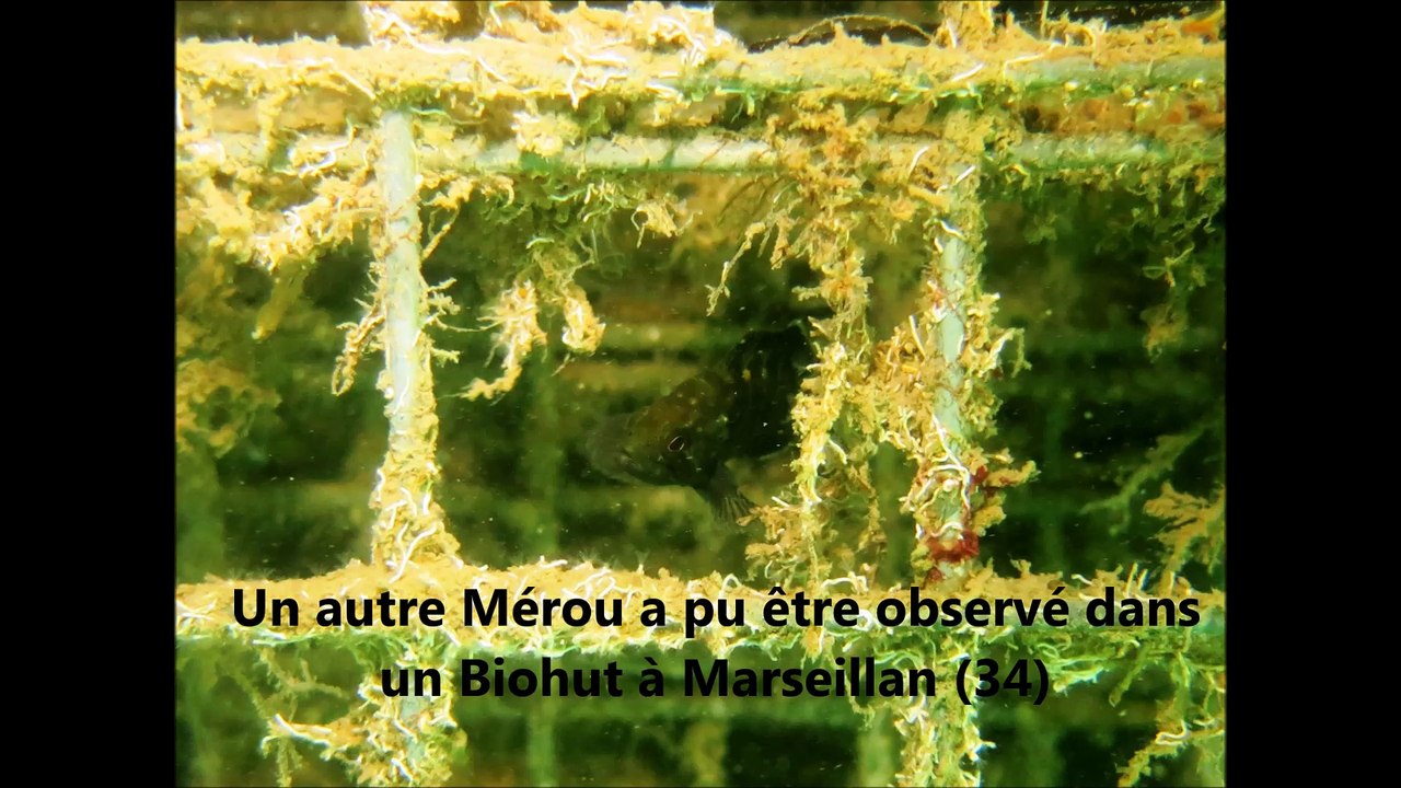 Compilation Photos et Vidéos Projet NAPPEX 2013 2014