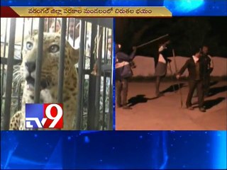 Cheetah fear haunts Warangal villagers