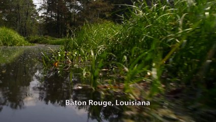Bad Country Home Entertainment Trailer(1)