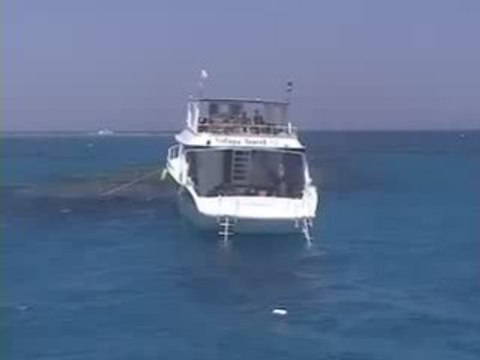 EGYPTE - MER ROUGE - 1 SEMAINE DE PLONGÉE