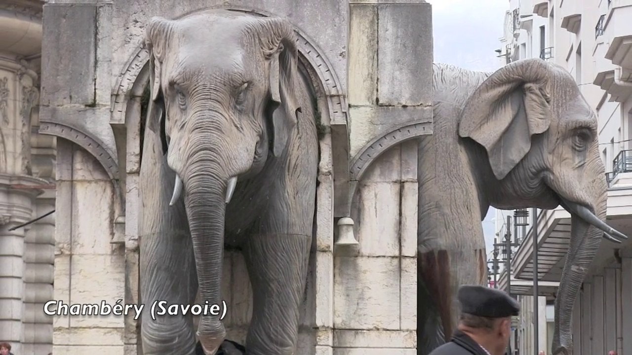 Les 4 sans culs torturés :  Halte aux violences animales