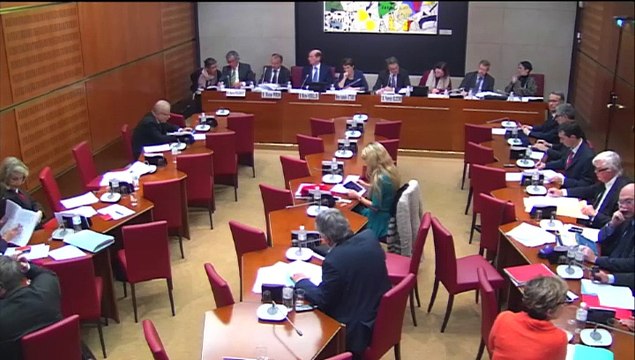 Intervention d'Hervé Féron en Commission des Affaires Culturelles et de l'Education : examen du rapport de la mission d’information sur la gestion des réserves et des dépôts des musées