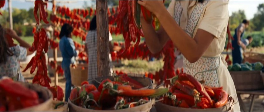 Bless Me Ultima Official Trailer - On DVD NOW!