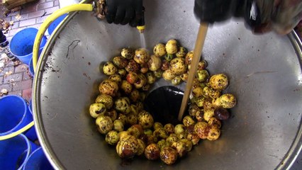 Making Cider with Series Land Rovers : Tardebigge Cider