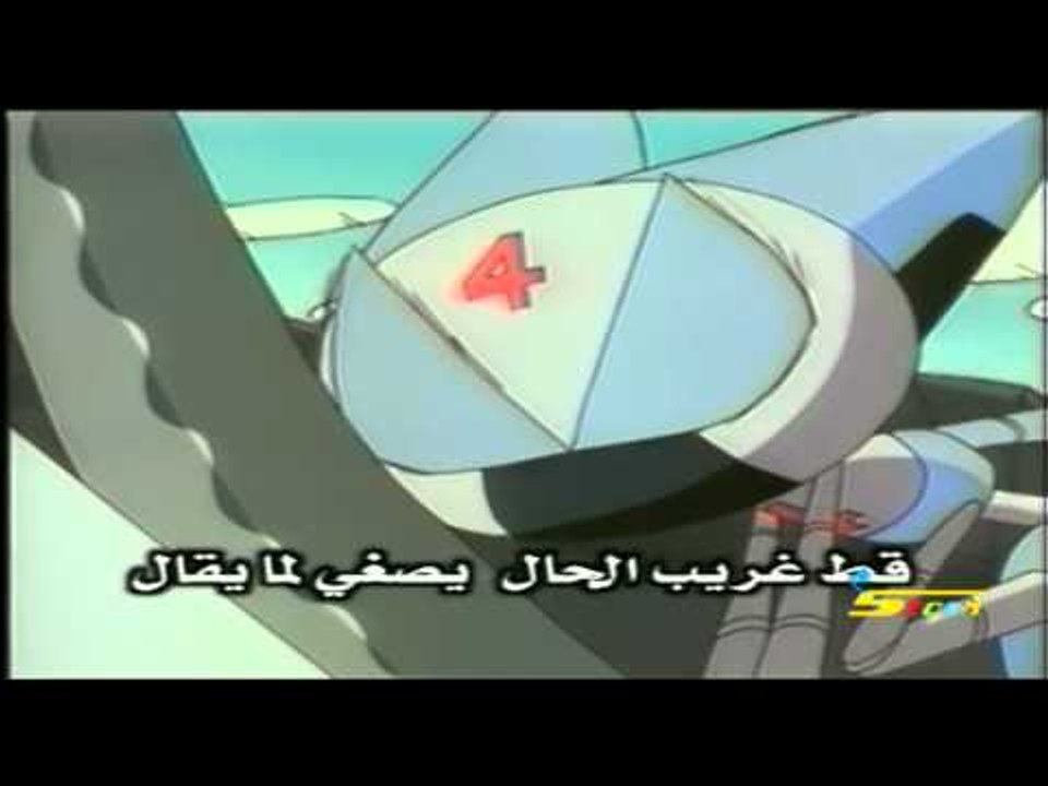 القط الأسود