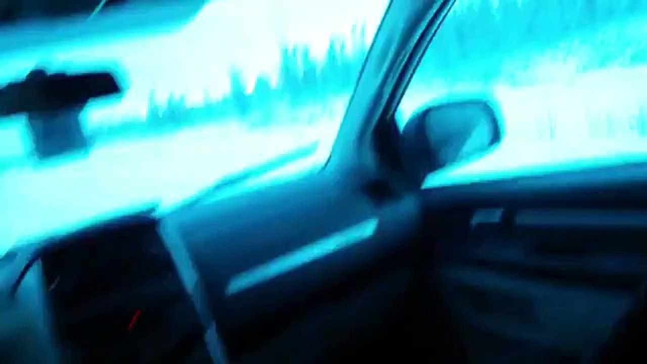 Taxi Saves Bisons from Wolves in Canada (Video) - Daily Picks and Flicks