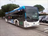 [Sound] Bus Mercedes-Benz Citaro C2 €uro 6 n°1356 de la RTM - Marseille sur les lignes 24, 24 B, 24 S et 24 T