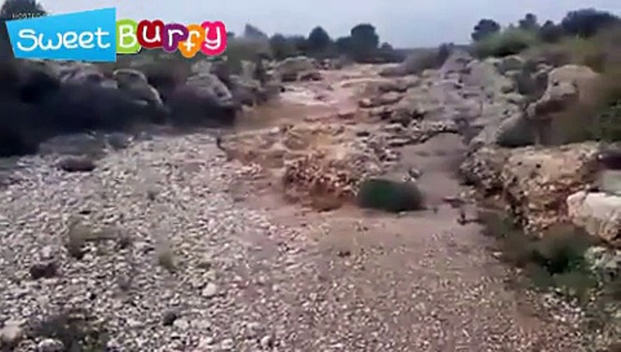 That's how destruction comes in within a moment
