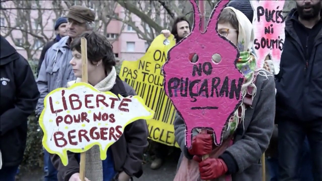 Refus du puçage électronique: manifestation d'éleveurs à Privas