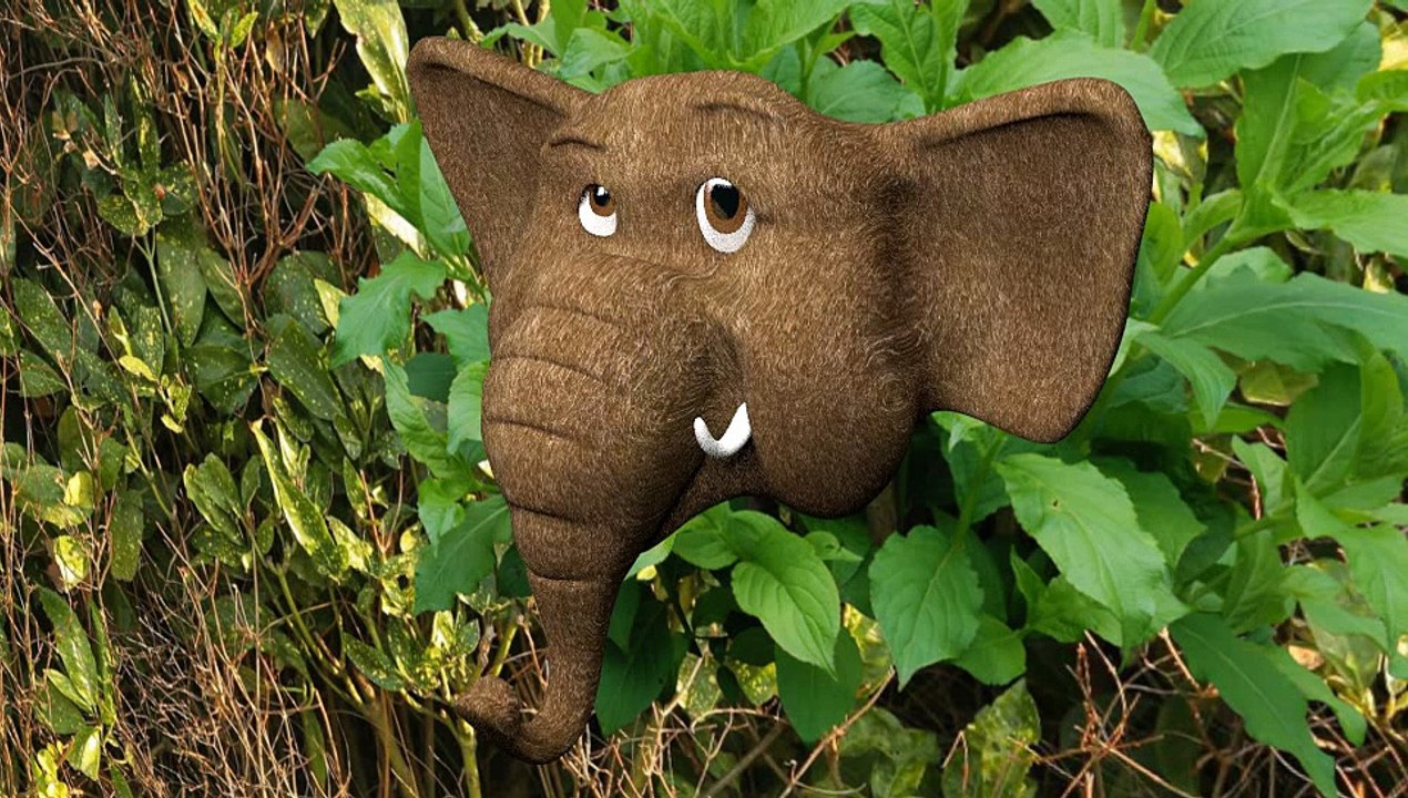 The Elephant Knows