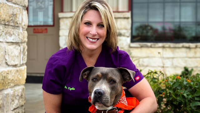 Welcome to Lone Star Animal Hospital