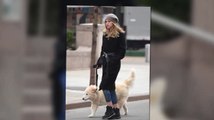 Le mannequin Suki Waterhouse sort le chien de son petit-ami Bradley Cooper