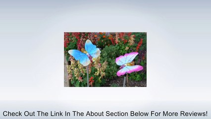 Solar Fiber Optic Butterflies of Two - Blue and Pink Review