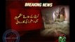 pak rangers attacks on terrorist in mangho pir karachi and 5 terrorist killed.