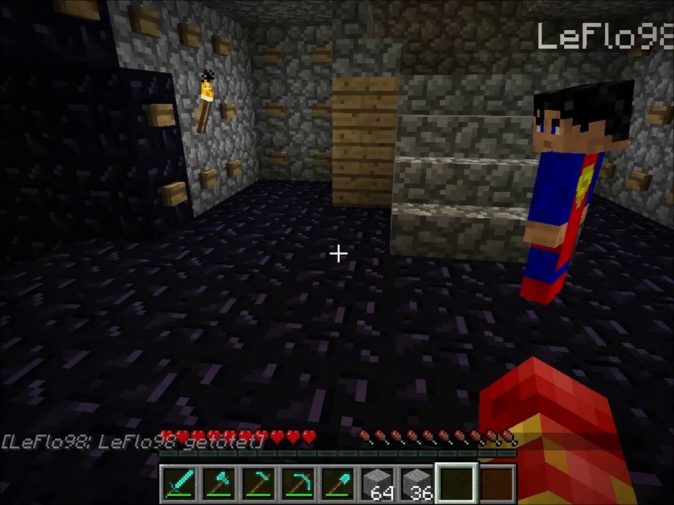 Minecraft #020 Lets Kill 2