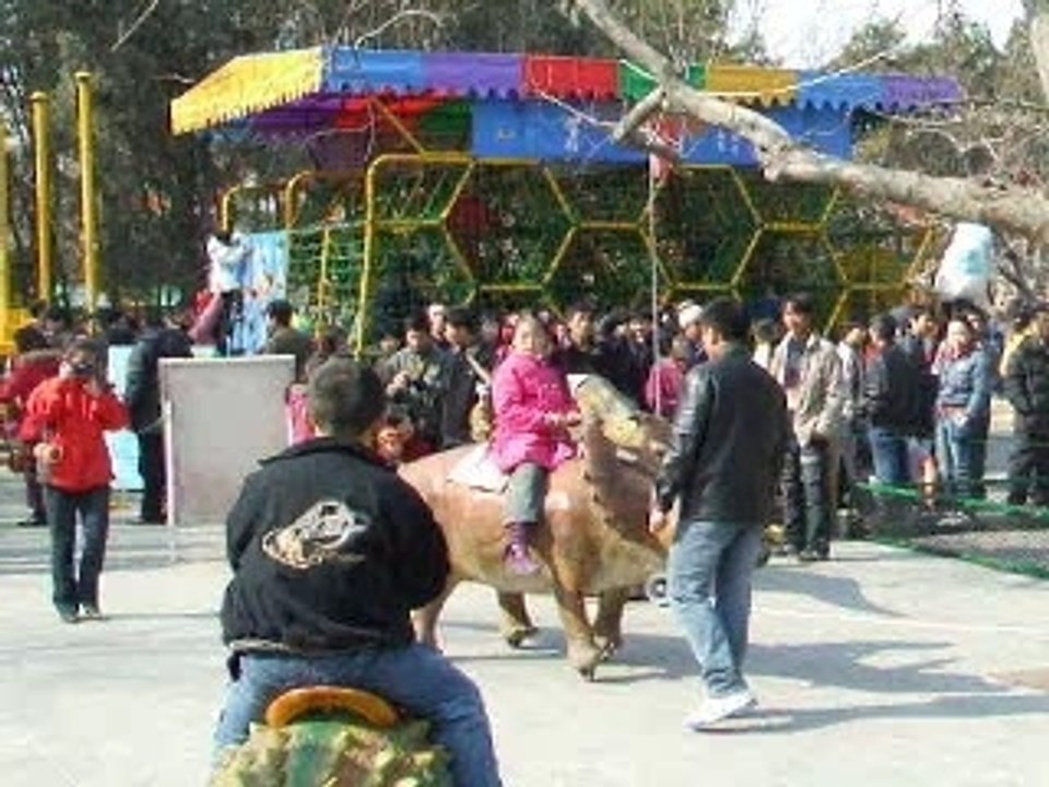 Dino-Chinois