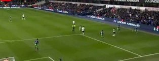 Nacer Chadli Goal - Tottenham vs Newcastle 2-0 (Capital One Cup) 2014