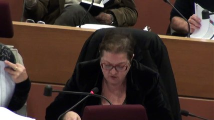 Budget 2015: la Région Île-de-France poursuit ses efforts en matière de sécurité