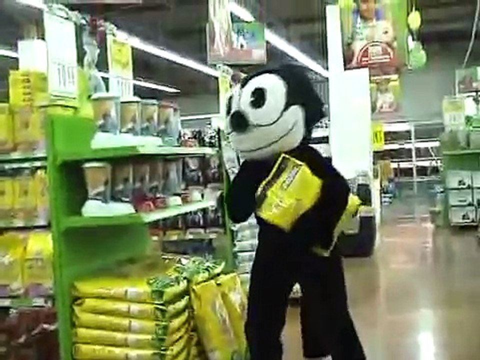 Cat (Rémi GAILLARD) BY place 2 Hina khan