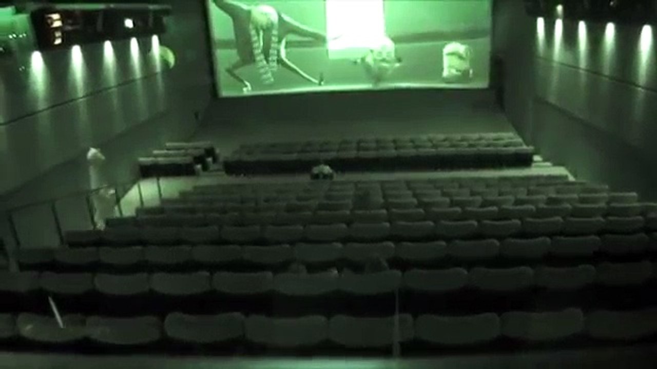 Giraffe (Rémi GAILLARD) BY place 2 Hina khan