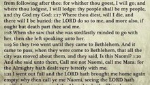 8 - Ruth - King James Bible, Old Testament (Audio Book)