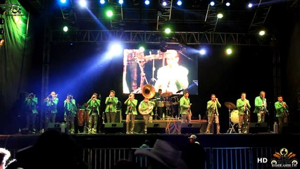 Banda Brisas De Michoacan " POPURRI " ( En Vivo Ajacuba Hdg 2014 )