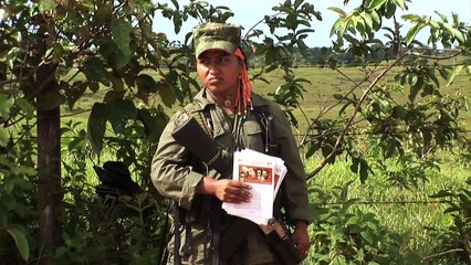 Farc anunciam cessar-fogo unilateral