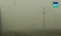 Dense fog blankets different areas in Punjab