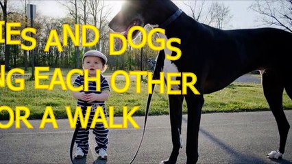 Babies And Dogs Take Each Other For A Walk