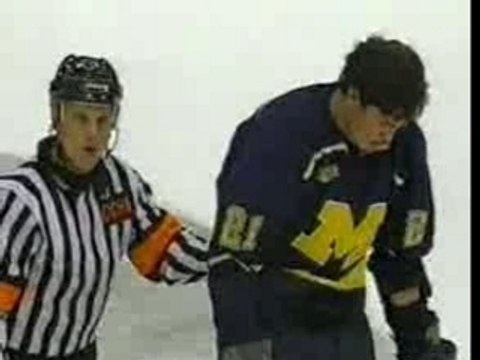 NHL Best Hockey Fights