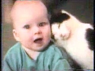 betisier de chats - Vidéo Dailymotion
