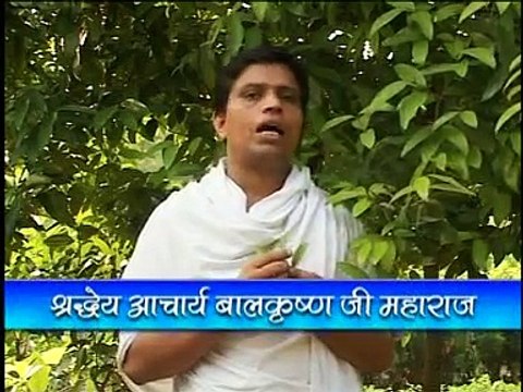 Health Benefits of Tejpatta (Cinnamomum tamala Nees) by Acharya Balkrishna