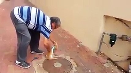 Kafası sıkışan şirin kedi