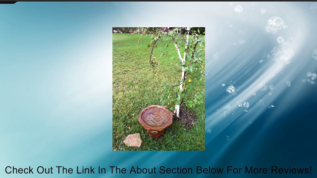 Mr Dripper Kit / Bird Attractor, Bird Bath Filler, Pet & Livestock Water Filler Review