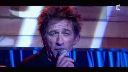 Hubert-Félix Thiéfaine "Angelus" - C à vous - 17/12/2014