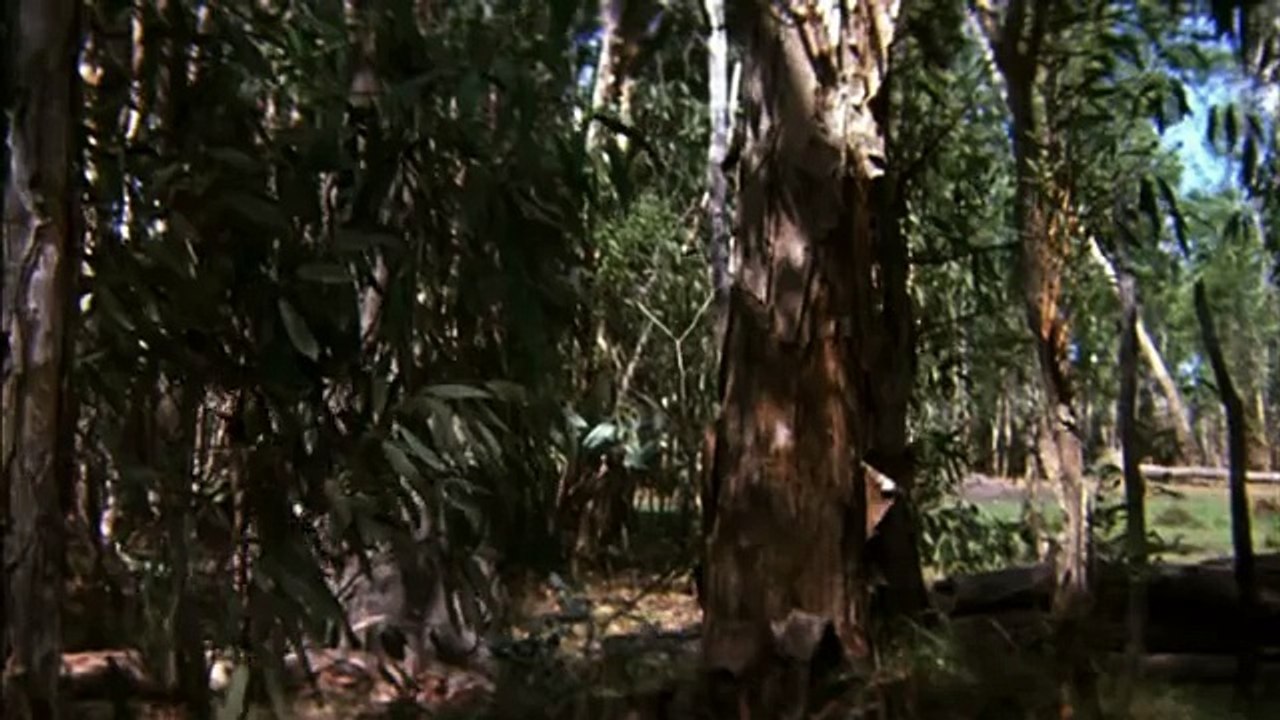 Crocodile Dundee II - Trailer