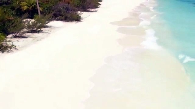 Dc Party Limo Bus Services | DC Limo Bus. DC Party Bus. DC Hummer Limo