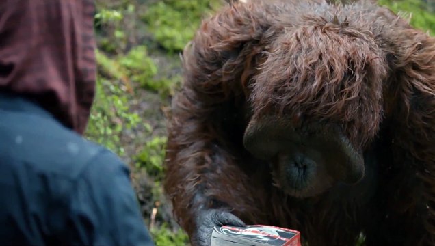 Dawn of the Planet of the Apes _ 'Hanging Out' _ Clip HD